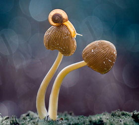 呼死您软件免费